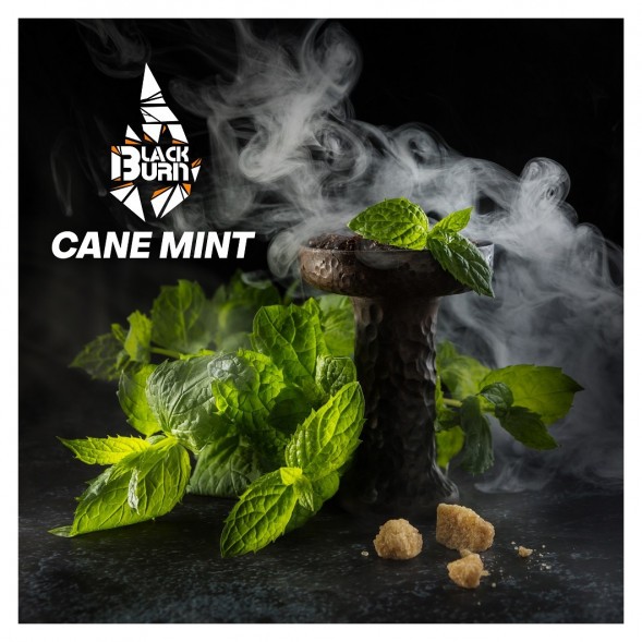 Табак BlackBurn - Cane Mint (Тростниковая Мята, 25 грамм) купить в Ижевске