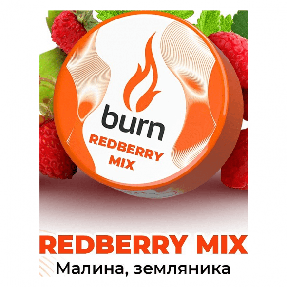 Табак Burn - Redberry Mix (Малина и Земляника, 200 грамм) купить в Ижевске