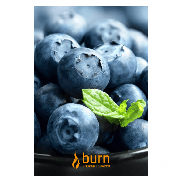 Табак Burn - Blueberry Mint (Черника с Мятой, 100 грамм) купить в Ижевске