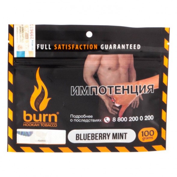 Табак Burn - Blueberry Mint (Черника с Мятой, 100 грамм) купить в Ижевске