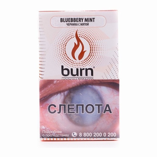 Табак Burn - Blueberry Mint (Черника с Мятой, 100 грамм) купить в Ижевске