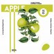 Табак Palitra - Apple (Яблоко, 40 грамм) купить в Ижевске