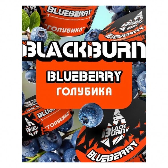 Табак BlackBurn - Blueberry (Голубика, 100 грамм) купить в Ижевске