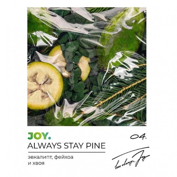 Табак Joy - Always Stay Pine (Эвкалипт, Фейхоа и Хвоя, 200 грамм) купить в Ижевске