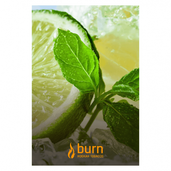 Табак Burn - Lemon Mint (Лимон с Мятой, 100 грамм) купить в Ижевске