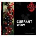 Табак Jent - Currant WOW (Кислая Смородина, 25 грамм) купить в Ижевске