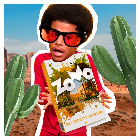 Табак Zomo - Secret Babylon (Сикрет Бабилон, 50 грамм) купить в Ижевске
