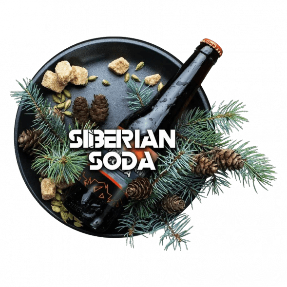 Табак BlackBurn - Siberian Soda (Лимонад Байкал, 25 грамм) купить в Ижевске