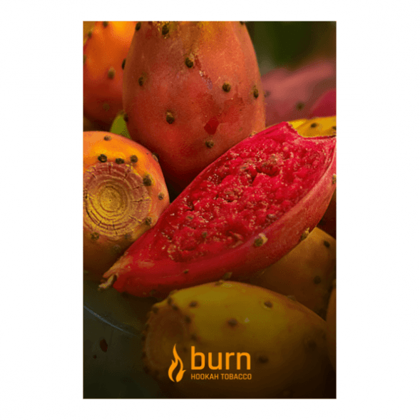Табак Burn - Juicy Apricot (Спелый Абрикос, 100 грамм) купить в Ижевске