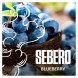 Табак Sebero - Blueberry (Голубика, 100 грамм) купить в Ижевске