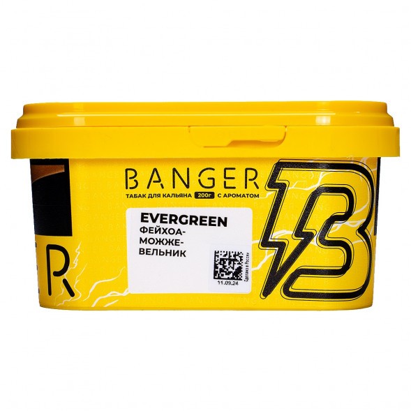 Табак Banger - Evergreen (Фейхоа Можжевельник, 200 грамм) купить в Ижевске