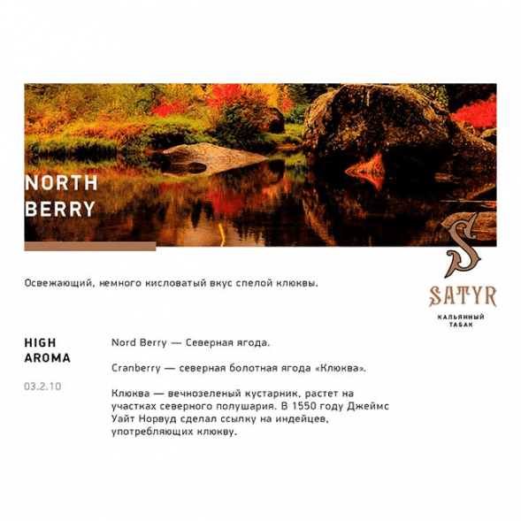Табак Satyr - North Berry (Северная Ягода, 200 грамм) купить в Ижевске