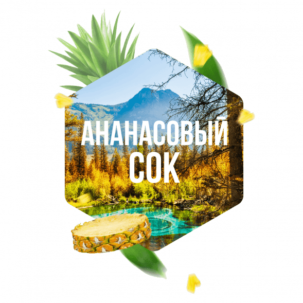 Табак Сарма - Ананасовый Сок (100 грамм) купить в Ижевске