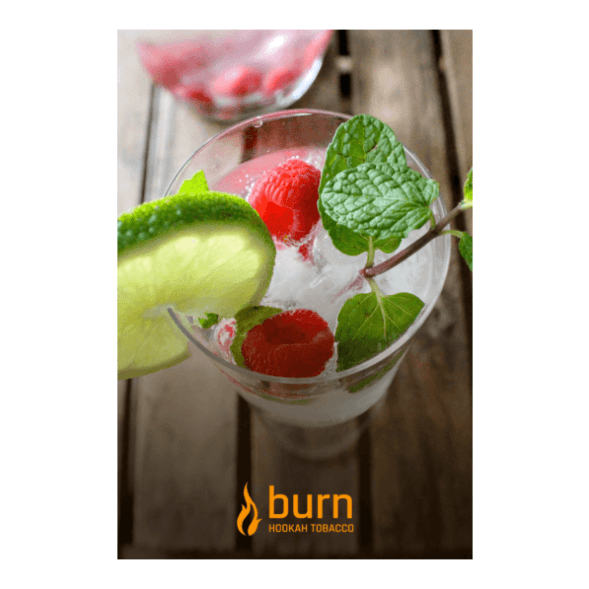 Табак Burn - Kamikaze (Лайм Малина Лед, 25 грамм) купить в Ижевске