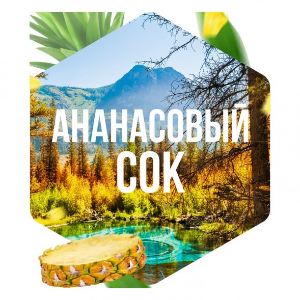 Табак Сарма - Ананасовый Сок (200 грамм) купить в Ижевске