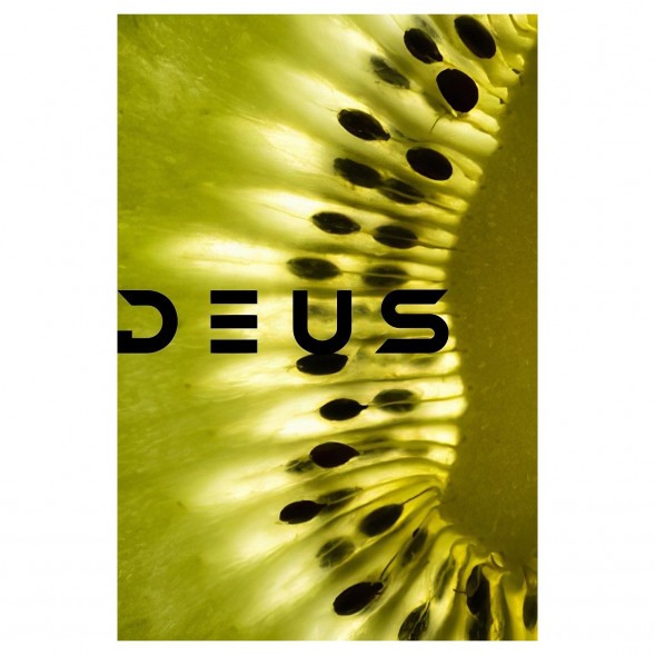 Табак Deus - Kiwi (Киви, 100 грамм) купить в Ижевске
