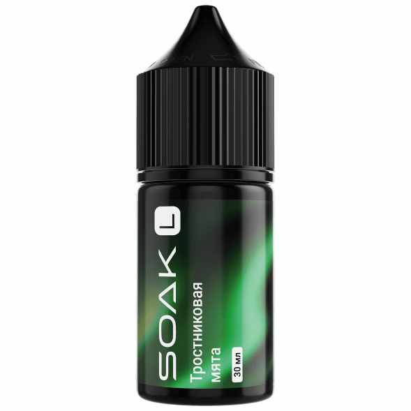 Жидкость SOAK L30 - Cane Mint (Тростниковая Мята, 30 мл, 2 мг) купить в Ижевске