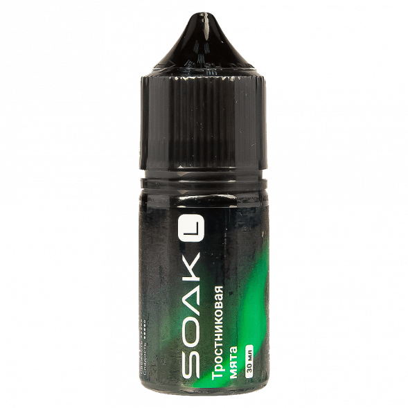 Жидкость SOAK L30 - Cane Mint (Тростниковая Мята, 30 мл, 2 мг) купить в Ижевске