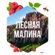Табак Сарма - Лесная Малина (100 грамм) купить в Ижевске