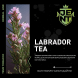 Табак Jent - Labrador Tea (Багульник и Саган Дайля, 25 грамм) купить в Ижевске