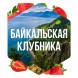 Табак Сарма - Байкальская Клубника (25 грамм) купить в Ижевске