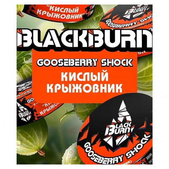 Табак BlackBurn - Gooseberry Shock (Кислый Крыжовник, 100 грамм) купить в Ижевске