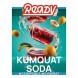 Табак Ready - №3 Kumquat Soda (Газировка, Кумкват, 25 грамм) купить в Ижевске