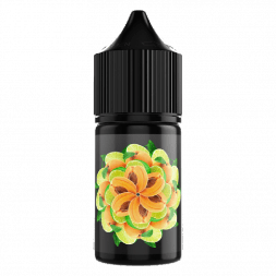 Жидкость SOAK L30 - Apricot Jam (Абрикосовый Джем, 30 мл, 2 мг)