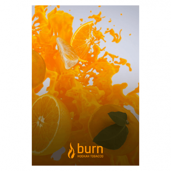 Табак Burn - White Night (Ананас, Апельсин, Ваниль, 25 грамм) купить в Ижевске