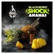 Табак BlackBurn - Ananas Shock (Кислый Ананас, 25 грамм) купить в Ижевске