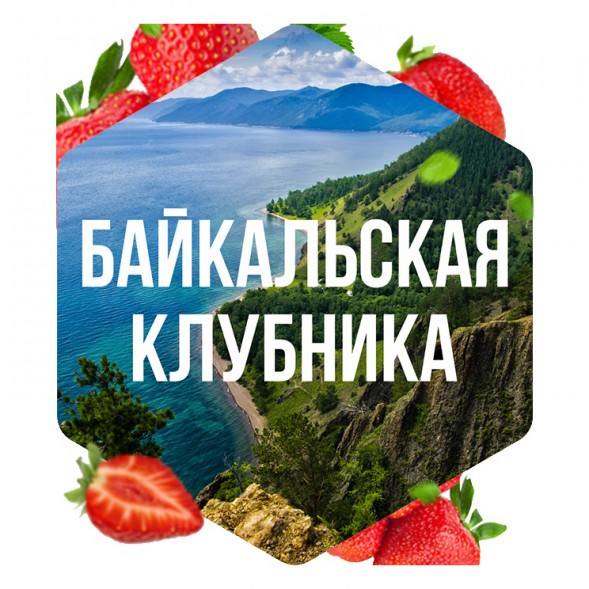 Табак Сарма - Байкальская Клубника (40 грамм) купить в Ижевске