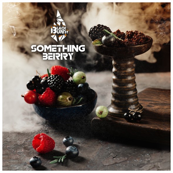 Табак BlackBurn - Something Berry (Что-то Ягодное, 25 грамм) купить в Ижевске