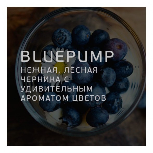 Табак Twelve - Blue Pump (Черника, 100 грамм, Акциз) купить в Ижевске