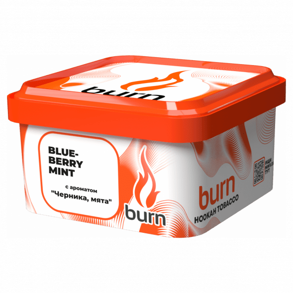 Табак Burn - Blueberry Mint (Черника с Мятой, 200 грамм) купить в Ижевске